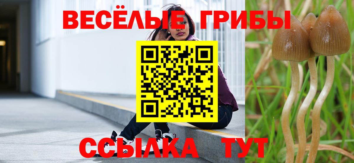 наркотики  Вход с VPN  Дубна  Галлюциногенные грибы мицелий 